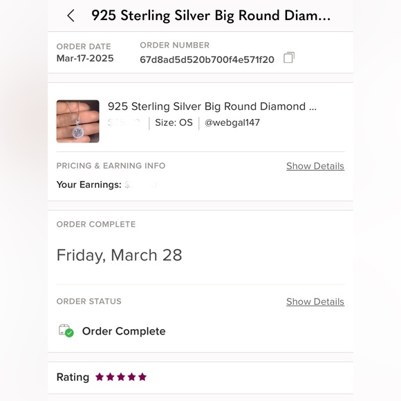 925 Sterling Silver Big Round Diamond Cubic Zirconia Pendant Necklace - Picture 8 of 8